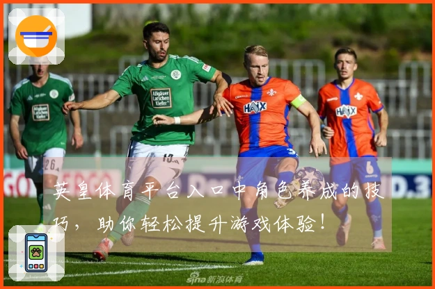 英皇体育平台入口中角色养成的技巧，助你轻松提升游戏体验！